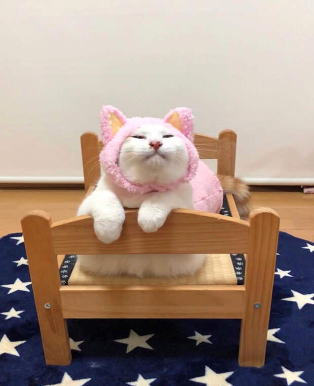 XUlrNr1pj34 (568x700, 288Kb)