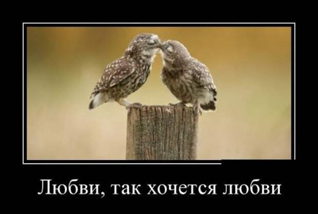 Новые прикольные демотиваторы (38 шт)