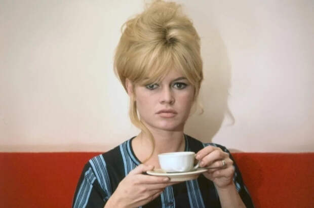 Добровинский: Брижит Бардо травили в современной Франции