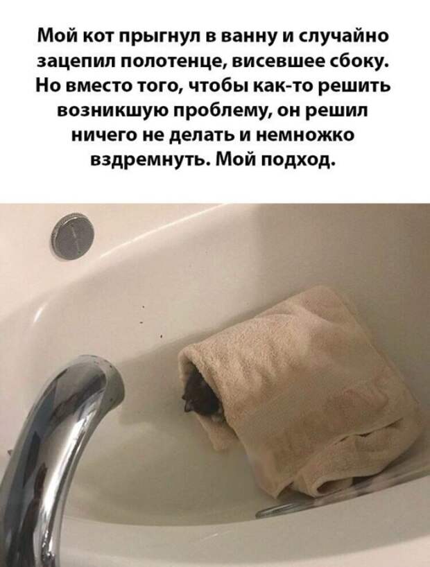 www.vsyako.net