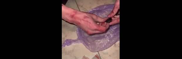 Полицейские Актау разыскивают лиц, причастных к записи видео с допросом закладчика