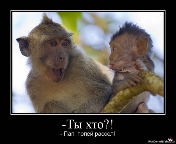 Блоги.  -  