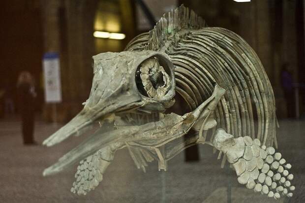 Самые интересные музеи Лондона