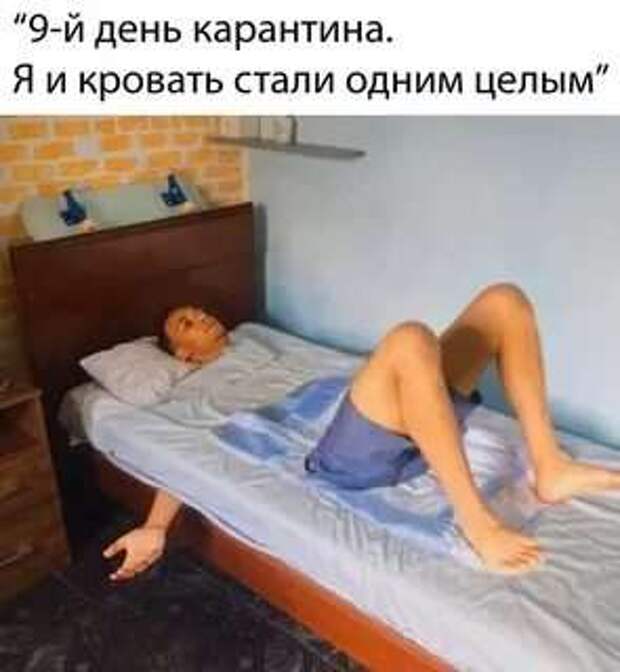 Неадекватный юмор из социальных сетей. Подборка chert-poberi-chert-poberi-46080503042020-17 картинка chert-poberi-46080503042020-17