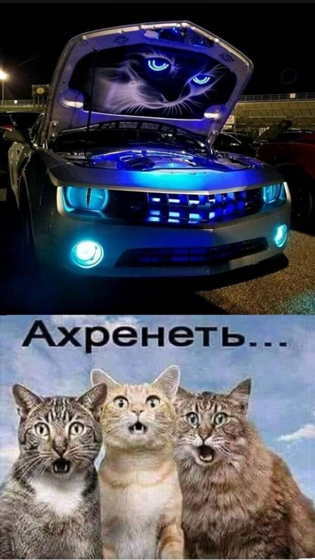 Картинки с надписями