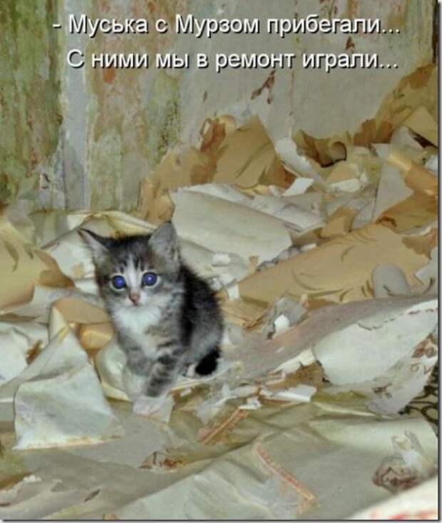 738228d94e32a6d6a1cc4d67481_prev