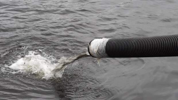 В Десногорское водохранилище выпустили 600 тысяч мальков белого амура и толстолобика