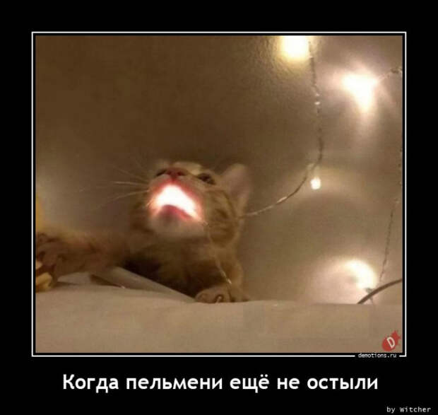 Демотиваторы на любой вкус: «Когда пельмени ещё не остыли»