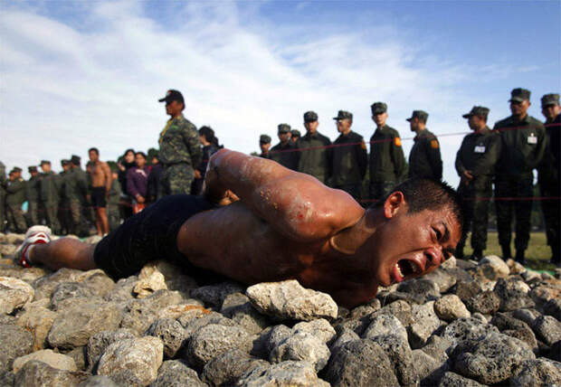 Лучшие снимки Reuters 2011