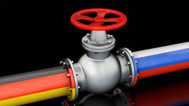 ФРГ придерживается правил оплаты газа из РФ в долларах и евро