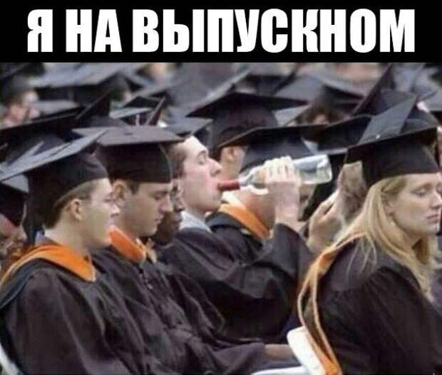 Настоящие приколы!