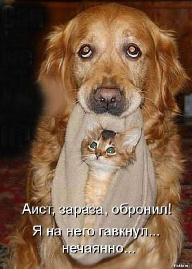 bcd0062cf766a5777c8bc4e53c9c81b0 (500x700, 312Kb)