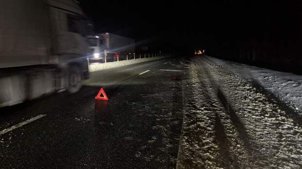 Полиция ищет сбежавшего водителя – он сбил человека на трассе М-1 под Смоленском