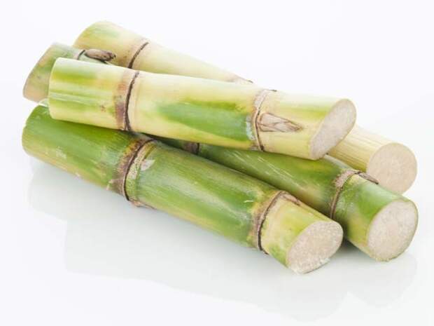 Уборка. Сафра — сезон уборки и переработки сахарного тростника, длится с декабря по май. Тростник убирают вручную с помощью мачете или комбайном.