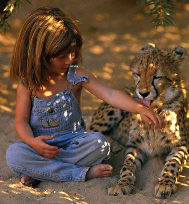 Tippi04 Tippi04 Современная Маугли