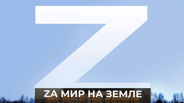 На Украине за Z, V и O могут дать пять лет