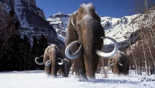 Мамонты вымерли из-за мутационного взрыва