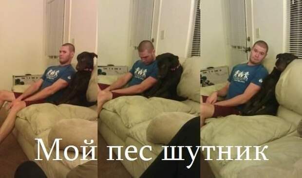 Всяко - разно 19 ))) Всяко - разно 19 )))