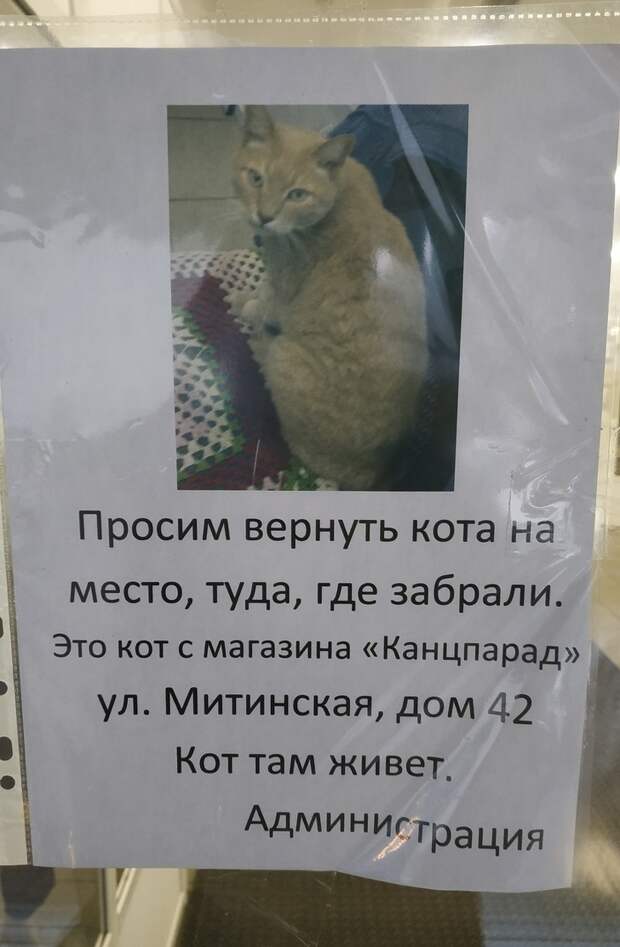20 шедевров стенонаписания и столбообклеивания в виде самых неоднозначных объявлений