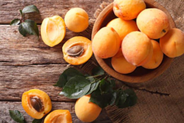 Новый российский сорт абрикоса способен выдержать сибирские морозы