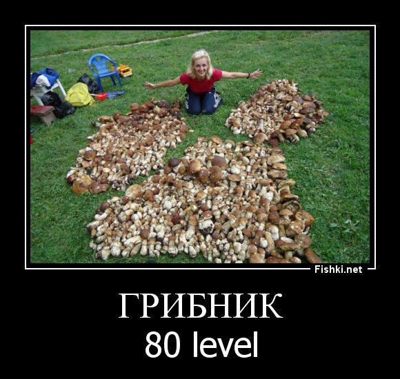 Юмор Про Грибы Картинки