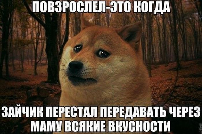Фотоподборка четверга (104 фото)