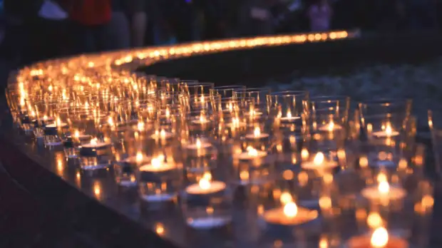 В Подмосковье подготовят программу для школьников, посвящённую Дню воинской славы