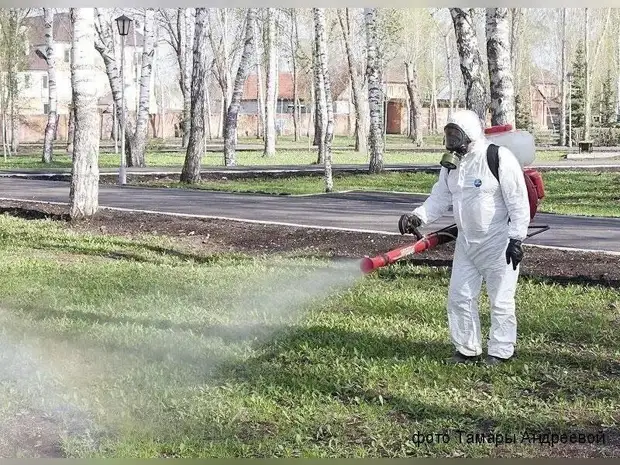 В Чите стали уничтожать паразитов