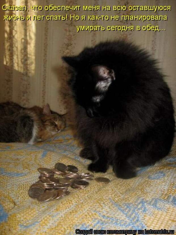 Я столько лет жила. Котики приколы с надписями. Коты чёрные смешные с надписями. Смешные котики с надписями. Смешные кошки с надписями.