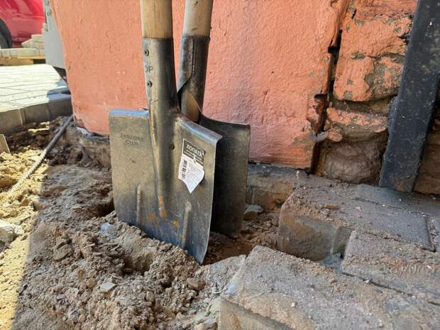 В Петербурге появилась березовая роща в память о погибших бойцах СВО