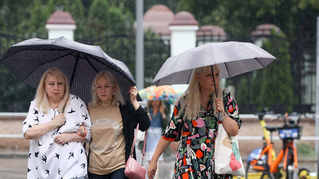 Синоптик Леус: непогода в Москве продлится до 20:00