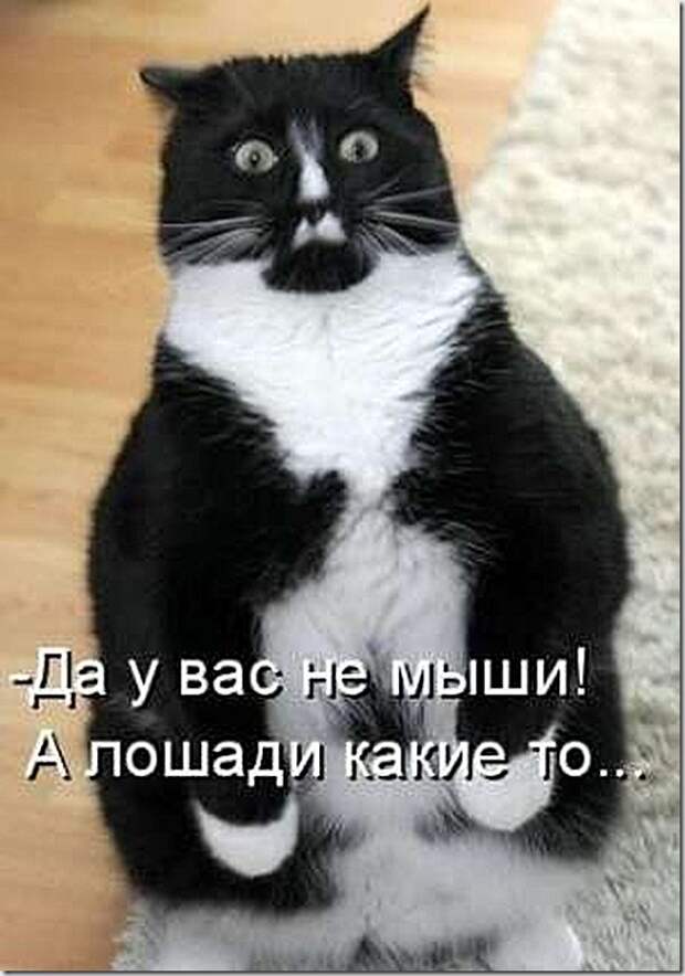 1259913074_s3img_92679036_723_1