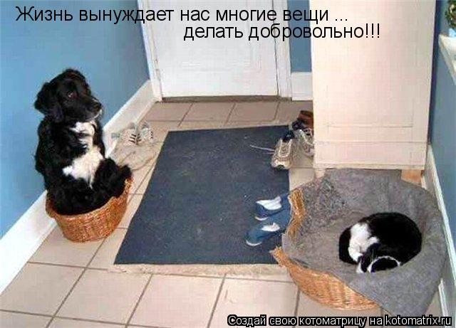 Жизнь вынуждает нас многие вещи ... делать добровольно!!!