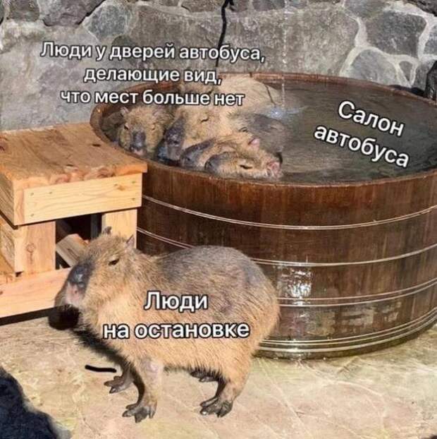 Прикольные мемы на Бугаге (21 фото)