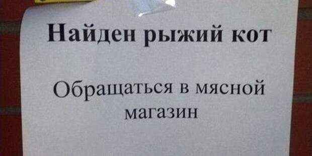 ТОП самых забавных объявлений: читаем и улыбаемся!