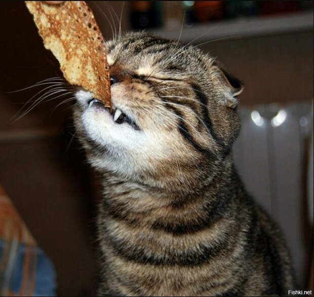 6aaa1028eb42b9e8118c997d2bcae5d2 (700x662, 383Kb)