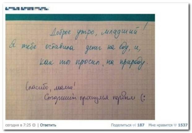 Смешные комментарии в ассортименте (26 фото)