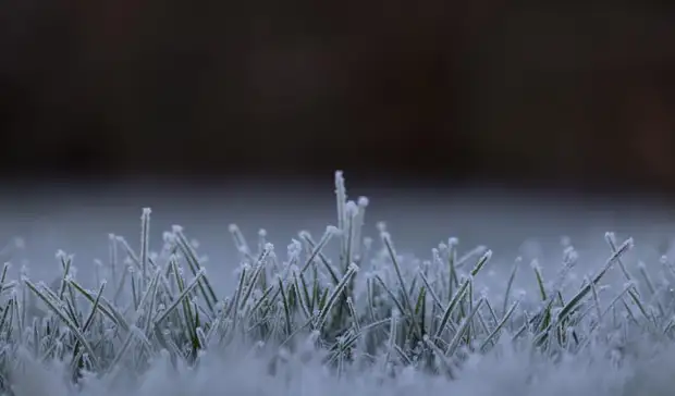 Аномальная погода обрушится на Карелию на майские праздники