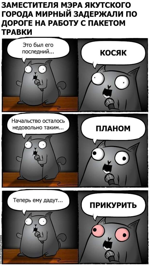 Стендап-кот и его коллекция саркастических комиксов Стендап-кот и его коллекция саркастических комиксов