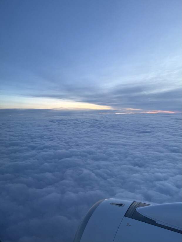 Уральские авиалинии отменили рейсы в Дубай и из Дубая на 2 марта