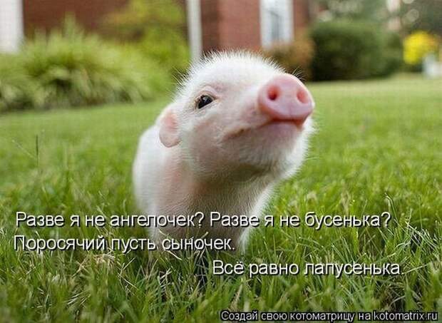 смешинка