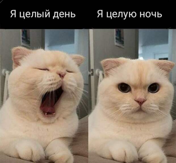 www.vsyako.net
