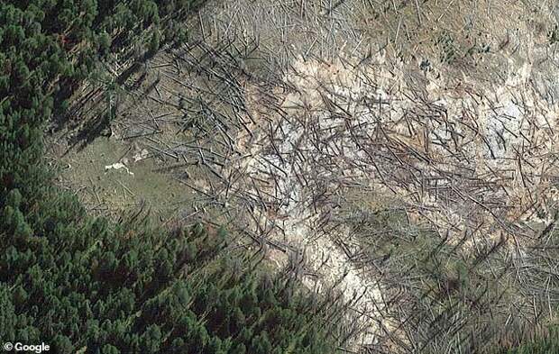 Йеллоустонский вулкан расширяется и уничтожает деревья в парке (6 фото)