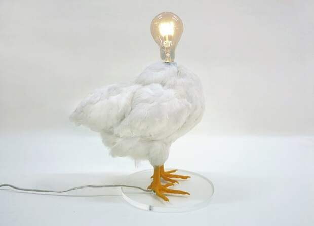 Лампа-курица, которая уж точно не понравится зоозащитникам в мире, вещи, дизайн, дизайнер, идея, креатив, прикол