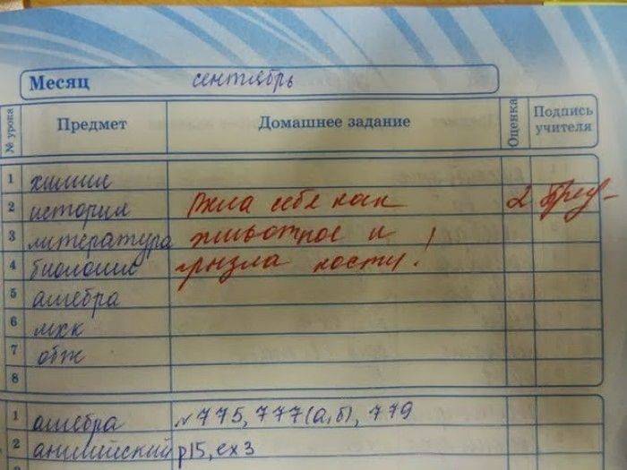 Смешные надписи (73 фото)