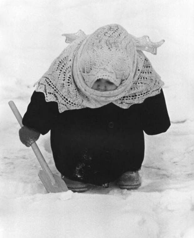 Счастливое детство. СССР, 1961 год. Автор фотографии: Владимир Лагранж. Счастливое детство. СССР, 1961 год. Автор фотографии: Владимир Лагранж.