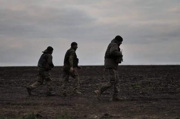 📰 Украинская полиция ежедневно задерживает около 450 сбежавших ВСУшников