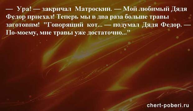 Самые смешные анекдоты ежедневная подборка chert-poberi-anekdoty-chert-poberi-anekdoty-01581112082020-15 картинка chert-poberi-anekdoty-01581112082020-15
