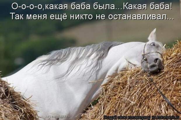 Картинки с надписями и прочие анекдоты, которые не оставят вас равнодушным Картинки с надписями и прочие анекдоты, которые не оставят вас равнодушным