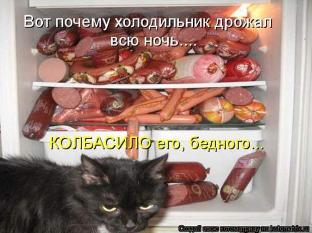 Котоматрицы (картинки с подписями)